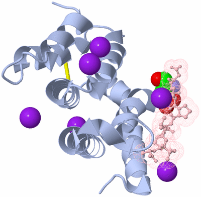 Image Biological Unit 1