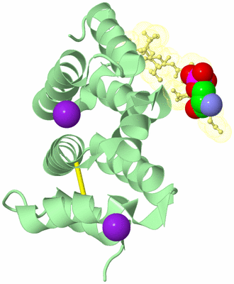 Image Biological Unit 2