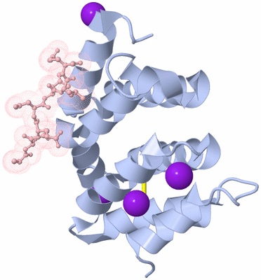 Image Biological Unit 1