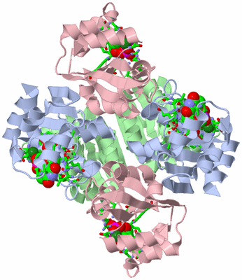 Image Biol. Unit 1 - sites