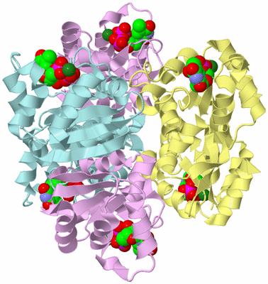 Image Biological Unit 2