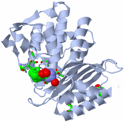 Image Biol. Unit 1 - sites