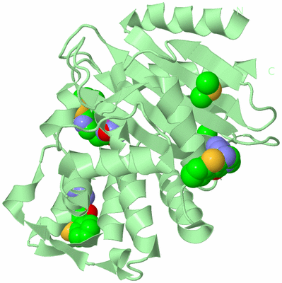 Image Biological Unit 2