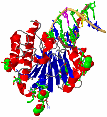 Image Asym./Biol. Unit - sites