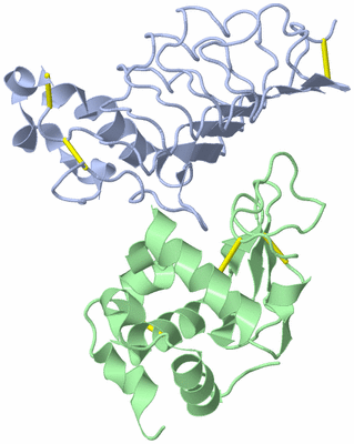 Image Biological Unit 1