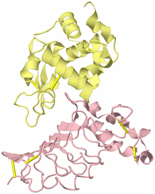 Image Biological Unit 2