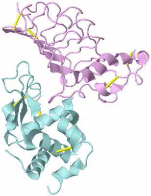 Image Biological Unit 3