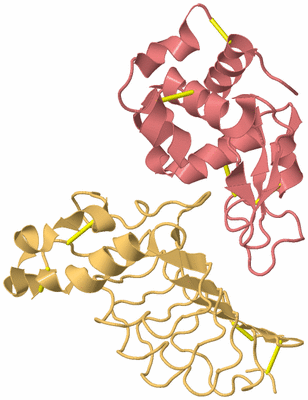 Image Biological Unit 4