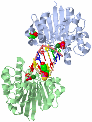 Image Asym./Biol. Unit