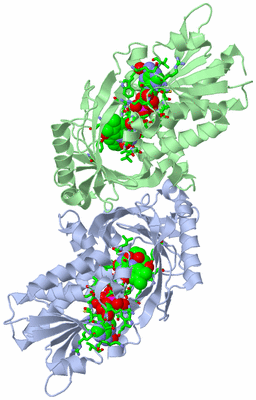 Image Biol. Unit 1 - sites