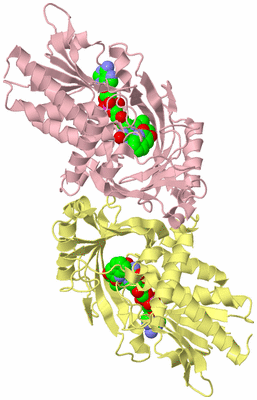 Image Biological Unit 2