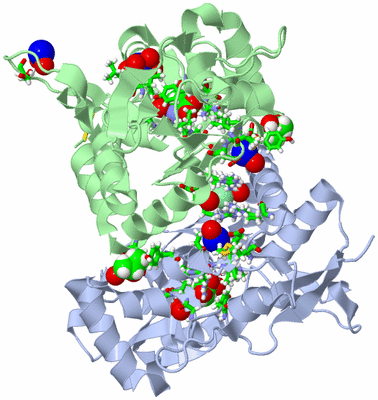 Image Biol. Unit 1 - sites