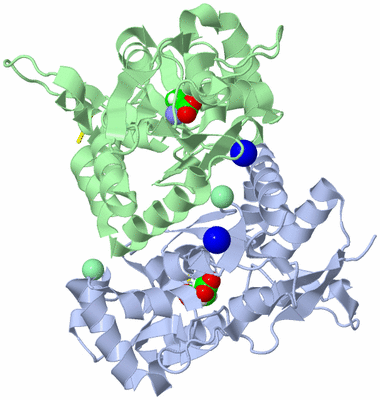 Image Asym./Biol. Unit