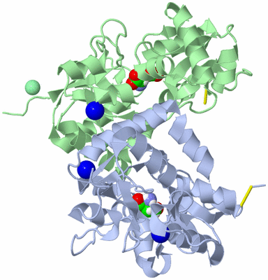 Image Asym./Biol. Unit