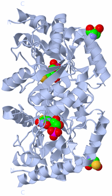 Image Biological Unit 1