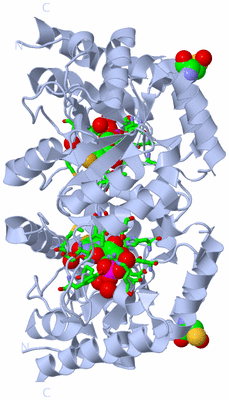 Image Biol. Unit 1 - sites