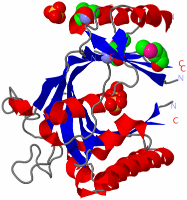 Image Asym./Biol. Unit