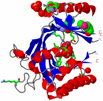 Image Asym./Biol. Unit - sites