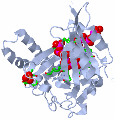 Image Biol. Unit 1 - sites