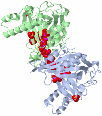 Image Biological Unit 3