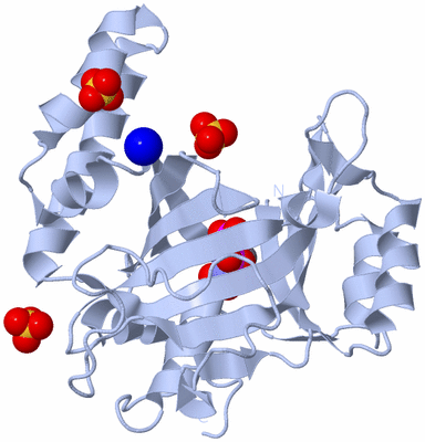 Image Biological Unit 1