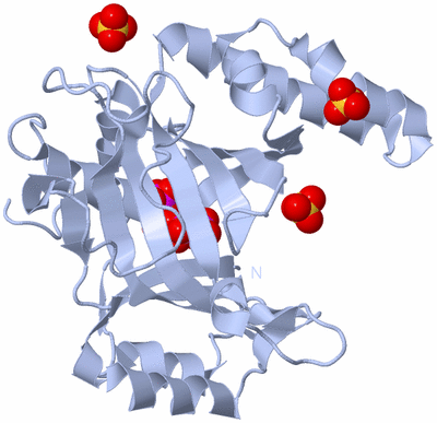 Image Biological Unit 1