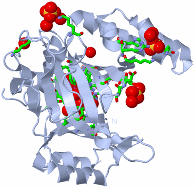 Image Biol. Unit 1 - sites