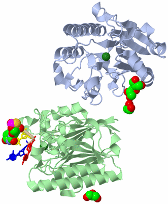 Image Asym./Biol. Unit