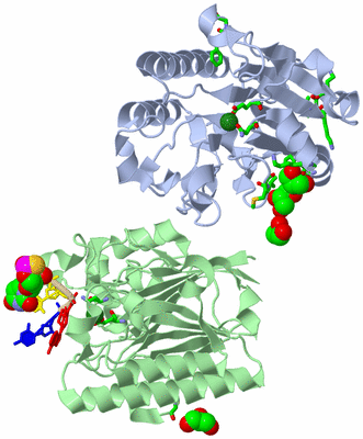 Image Asym./Biol. Unit - sites