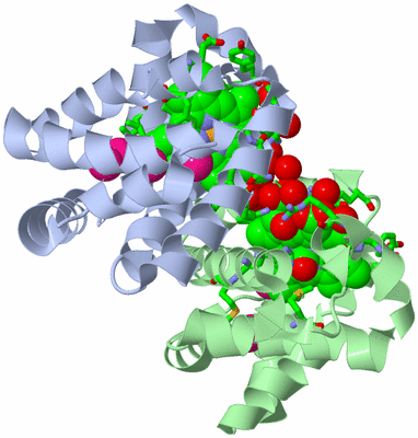 Image Asym./Biol. Unit - sites