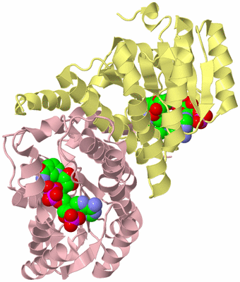 Image Biological Unit 2