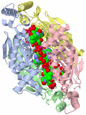 Image Asym./Biol. Unit