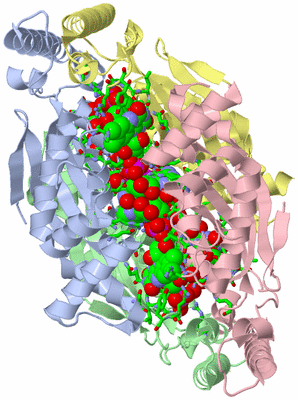 Image Asym./Biol. Unit - sites