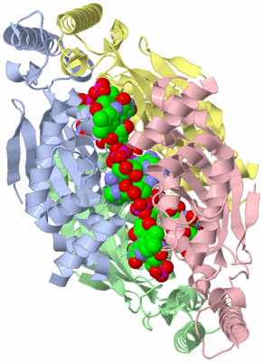 Image Asym./Biol. Unit