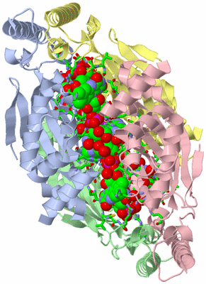 Image Asym./Biol. Unit - sites