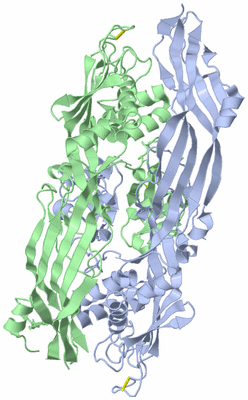 Image Asymmetric Unit