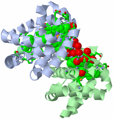 Image Asym./Biol. Unit - sites