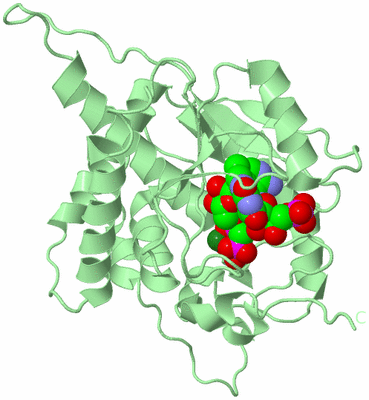 Image Biological Unit 2