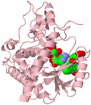 Image Biological Unit 3