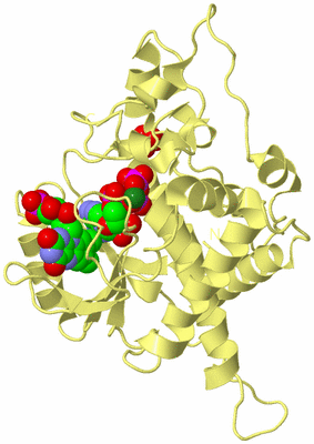 Image Biological Unit 4