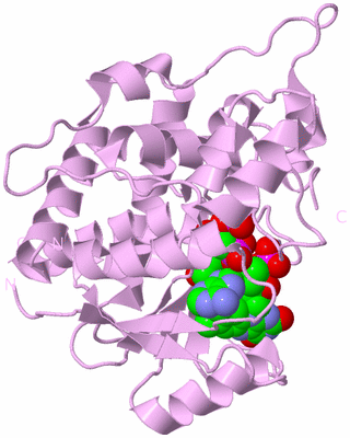 Image Biological Unit 5