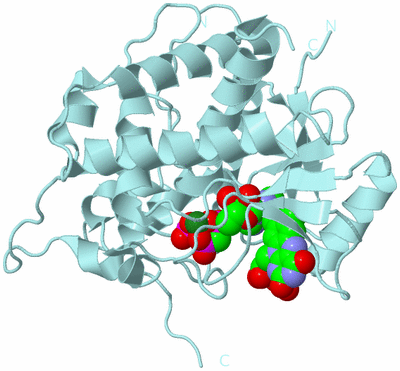 Image Biological Unit 6