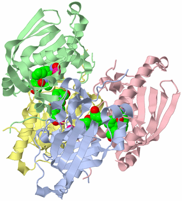 Image Biological Unit 1