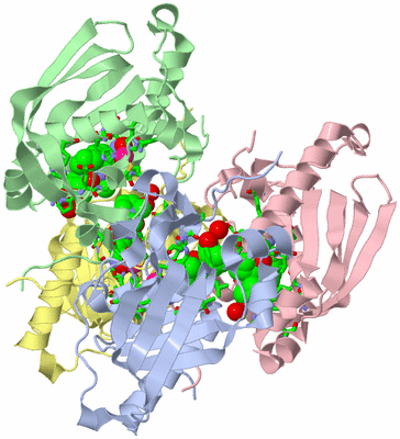 Image Biol. Unit 1 - sites