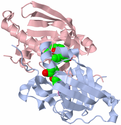 Image Biological Unit 2