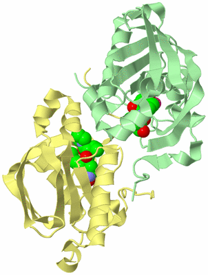 Image Biological Unit 3