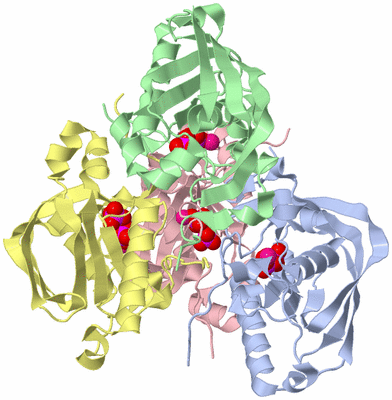 Image Biological Unit 1