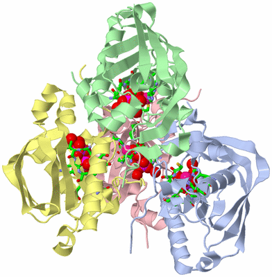 Image Biol. Unit 1 - sites