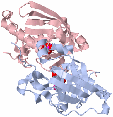 Image Biological Unit 2