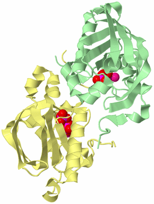 Image Biological Unit 3